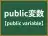 public変数