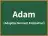 Adam
