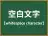 空白文字