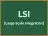 LSI