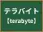 テラバイト