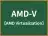 AMD-V