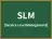 SLM