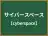 サイバースペース