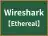 Wireshark