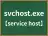 svchost.exe