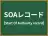 SOAレコード