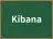 Kibana