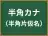 半角カナ