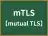 mTLS