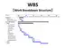 WBS